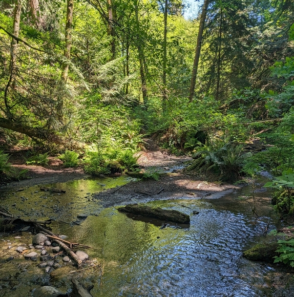 Meet your Posher - Picture 1 of 1